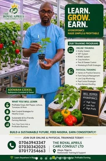 Modern Hydroponic & Hogh-Yield Crop Farming Consultation