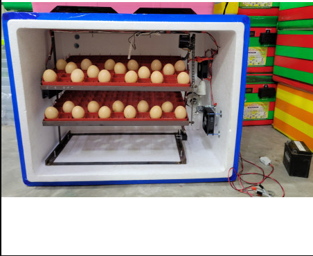 Automatic Commercial Egg Incubator (1000 Eggs