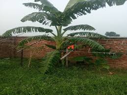 7.5 katha residental plot inside army supervised jalshiri abashon sector 12