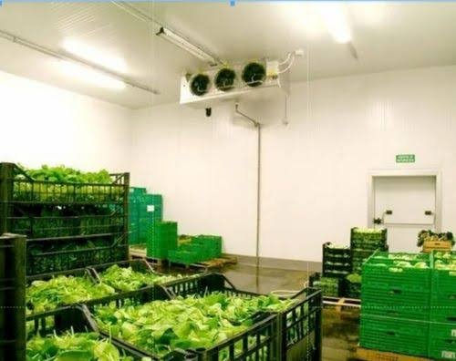Cold storage facility chamber for perishable fruits vagetables & agro goods 500ton