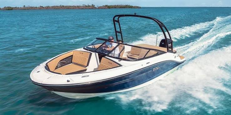 Sea Ray SPX 190