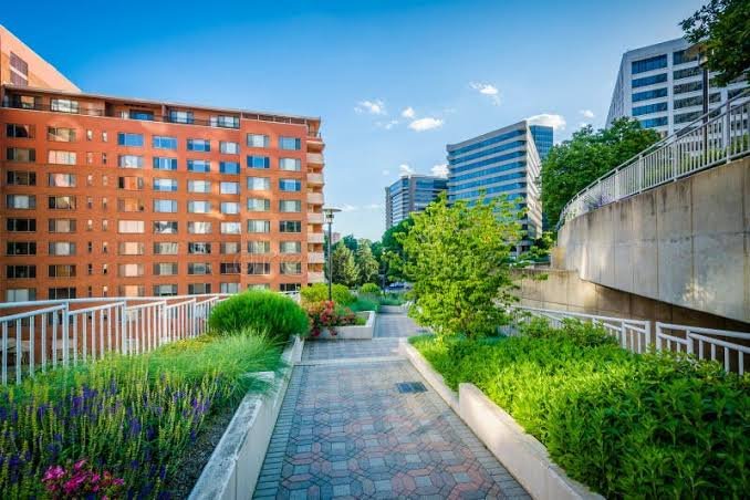 Urban Walkway & Modern Public Park Construction