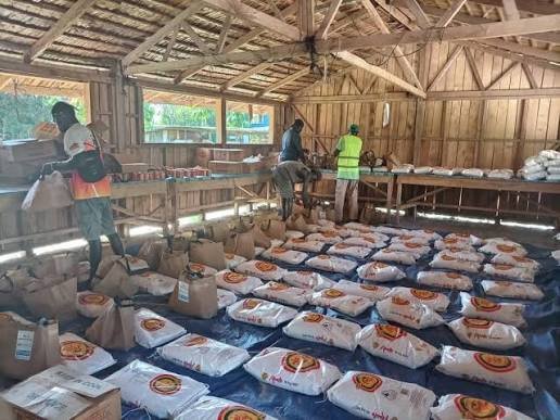 Government Food Godown & Cyclone Shelter Construction