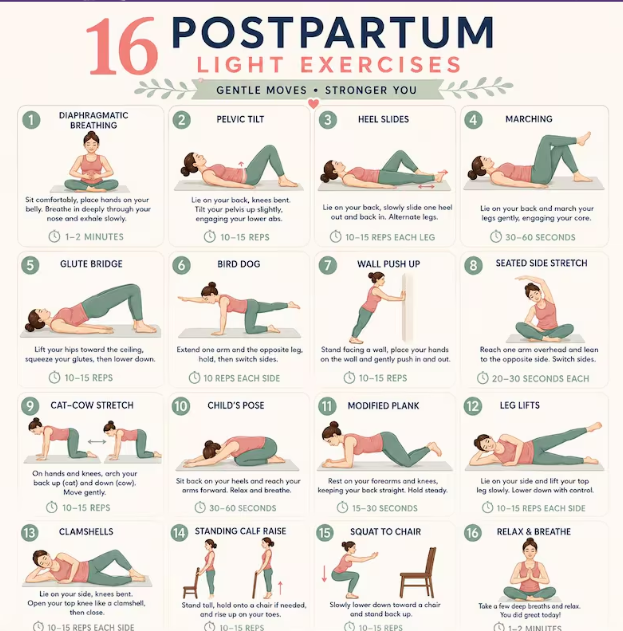 Premium Postpartum Fitness Plan