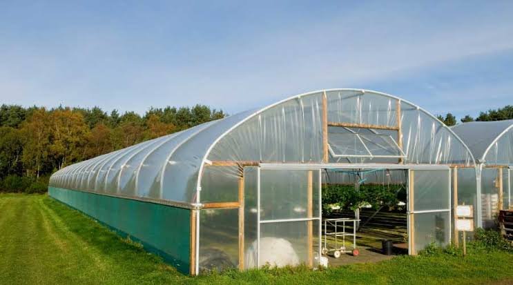 Greenhouse Polytunnel Construction
