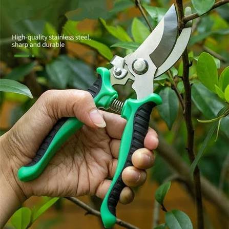 Heavy Duty Fruit Tree Grafting Pruning Shears