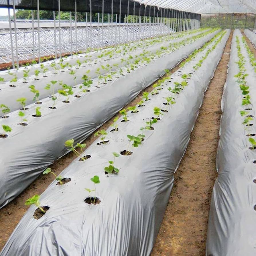 Agricultural Black Silver Plastic Mulch Film